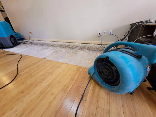 Professional Water Damage Repair technician working in Mount Pleasant, TN